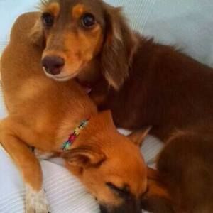 Meet your Posher, 祐奈